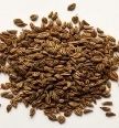 Bishop's Weed