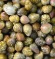 caper
