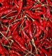 Chilli