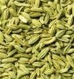 fennel