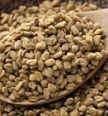 fenugreek