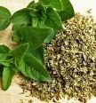 oregano