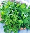 parsley