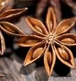 star-anise