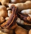 tamarind