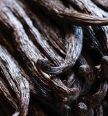 vanilla